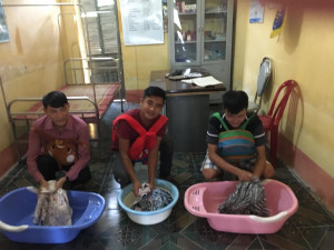 z7232571333861_25593630dd68503fe606cd9fac71f13d